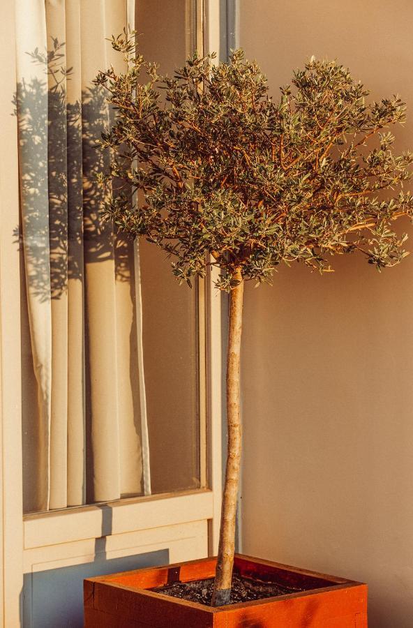 Suitas Athens Exterior photo